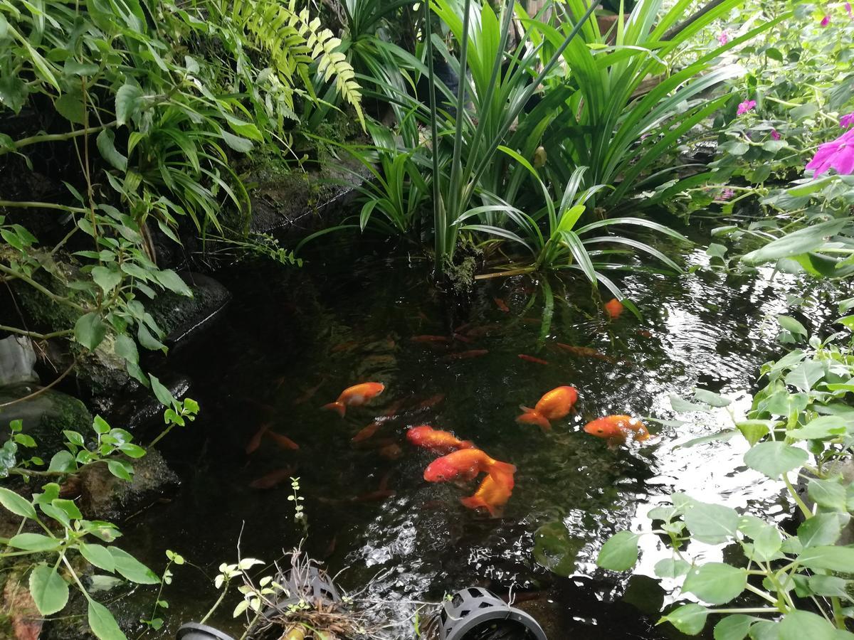 Hotel Chian House Chiang Rai Zewnętrze zdjęcie