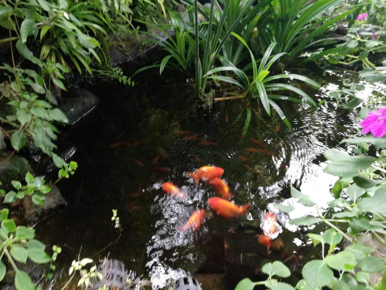 Hotel Chian House Chiang Rai Zewnętrze zdjęcie